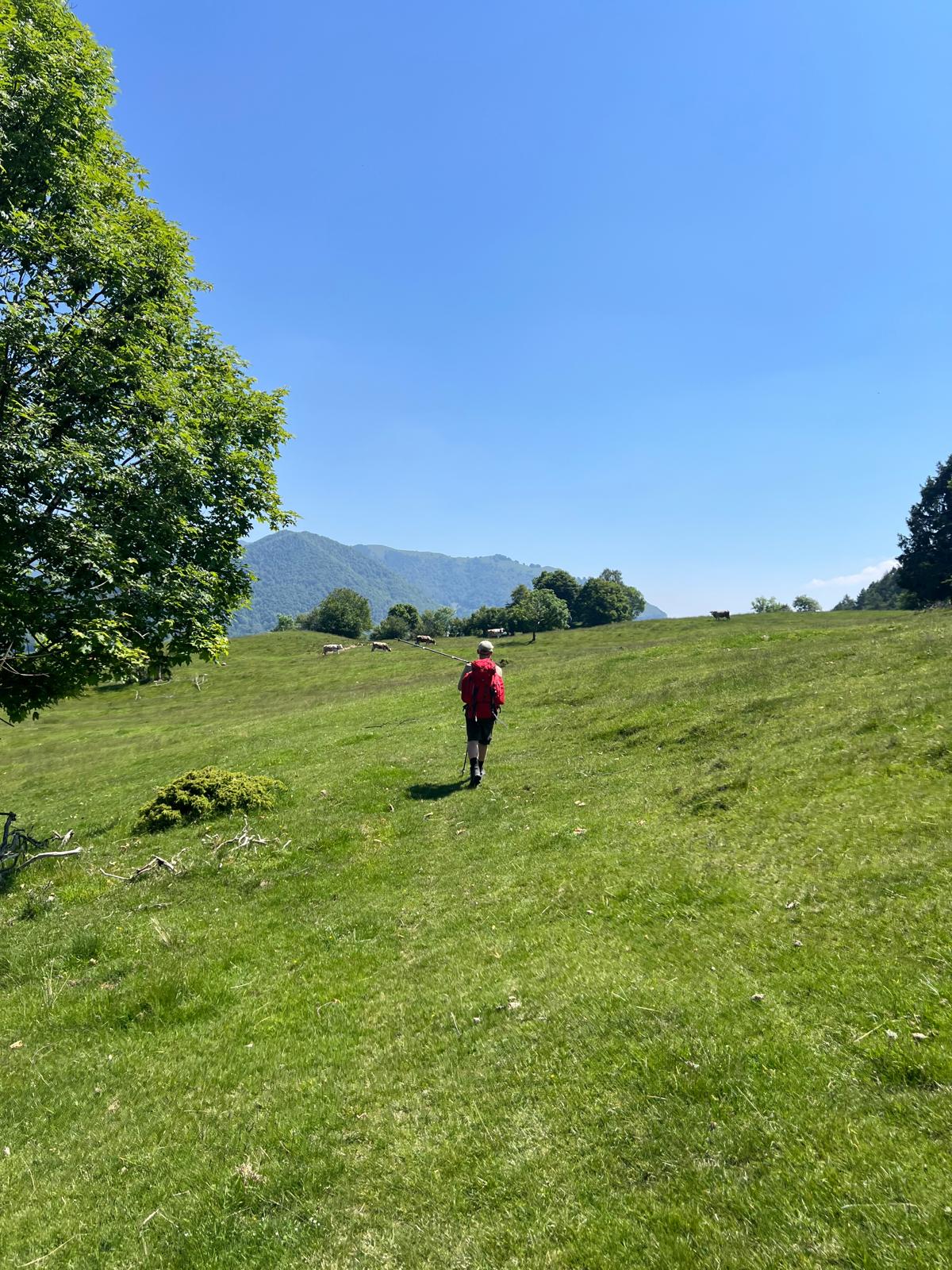 Wandern